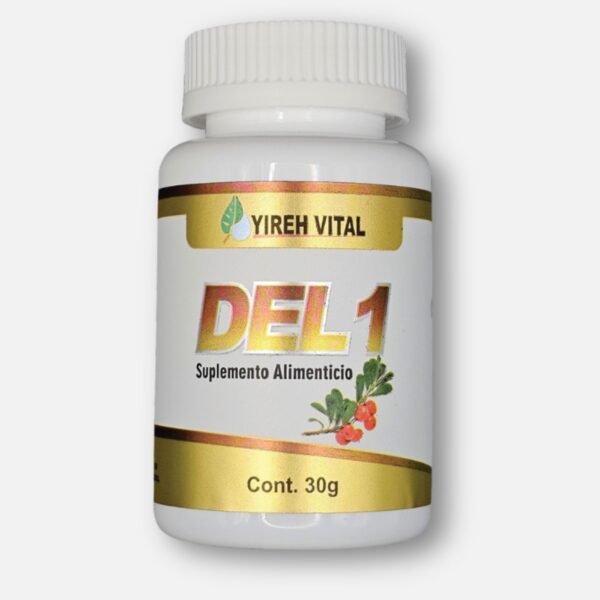 DEL 1