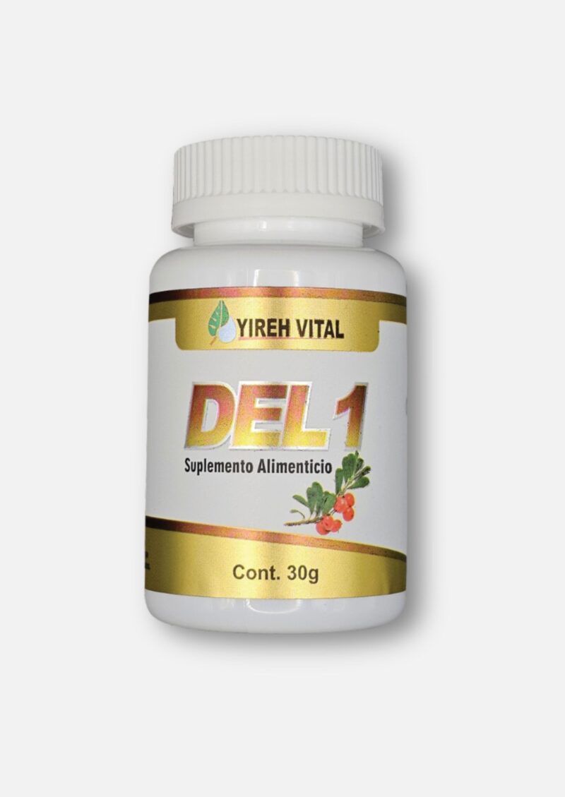DEL 1